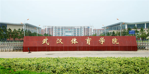 2015年武汉体育学院体育科技学院艺术类专业