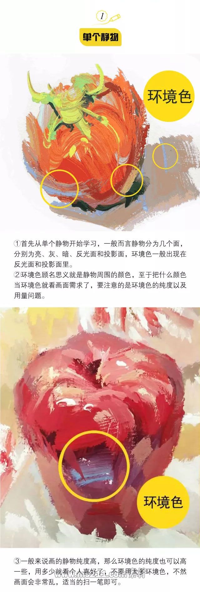 色彩静物：环境色如何把握_01.jpg