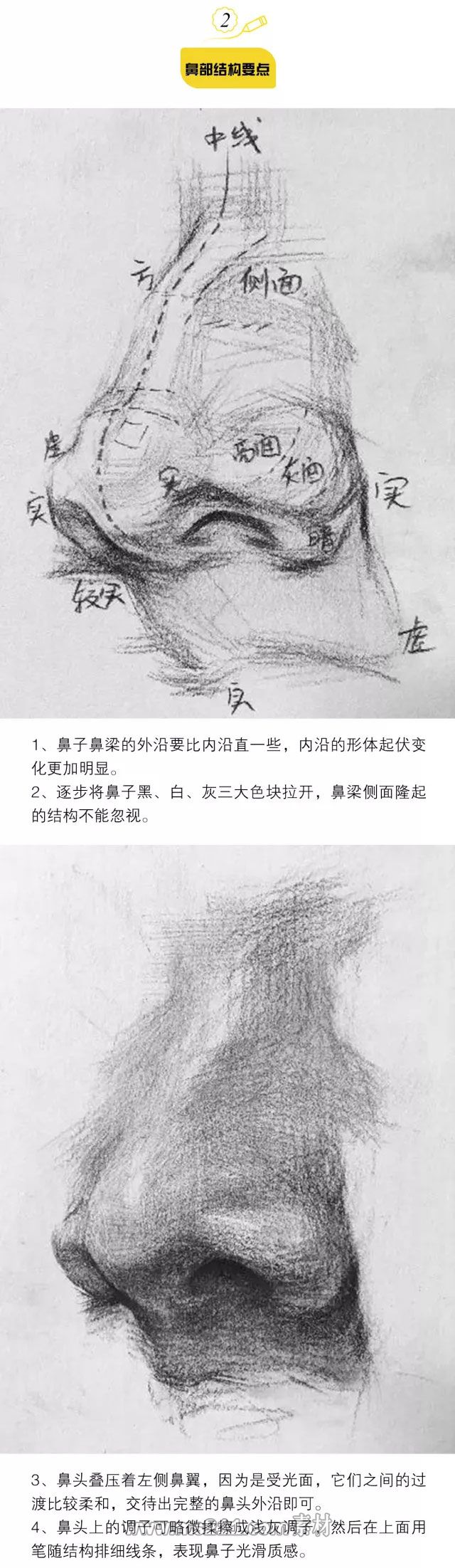 素描头像：五官的结构画法_04.jpg